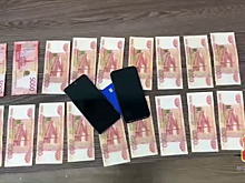 Подмосковные полицейские задержали пособников телефонных мошенников, похитивших у пенсионера более 500 тыс. рублей