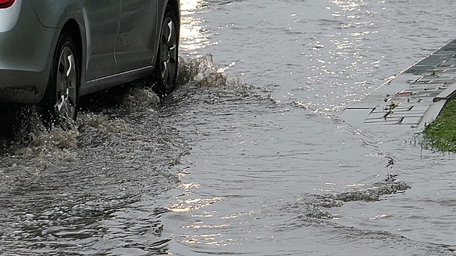 Под Ялуторовском начали строить дамбу против паводка