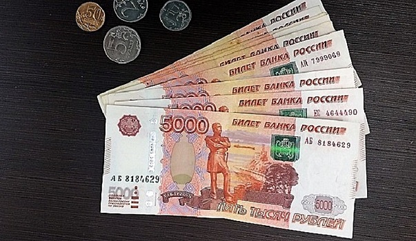 Общественники выступают за выплату миллиона рублей на третьего ребенка