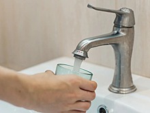 С инициативой назвать улицу в честь Мандельштама выступили россияне