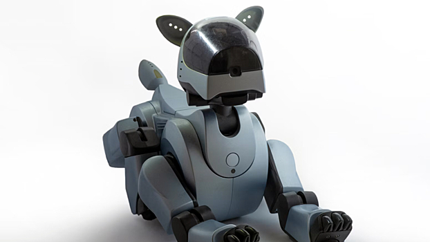 Российских робособак научат подниматься по лестницам с помощью нейросети