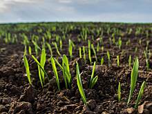 Двум нижегородским фермерам присвоено почетное звание «Заслуженный работник сельского хозяйства Российской Федерации»