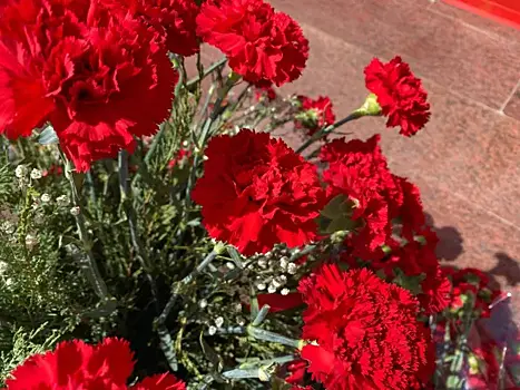 В селе Августовка открыли Аллею Памяти