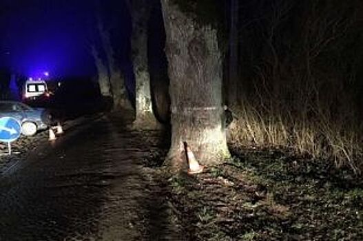 В Славском районе по вине нетрезвого водителя пострадал пассажир