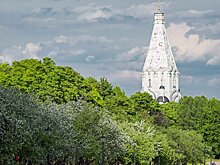 В Головинском открыта запись на экскурсию в Коломенское