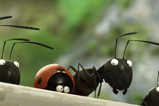 Как избавиться от муравьёв на дачном участке?