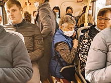 Ольга Петрова займется вопросом безбилетного проезда детей в транспорте