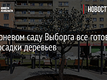 В Яблоневом саду Выборга все готово для посадки деревьев