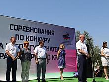 В «Гаскони» прошли состязания по конкуру