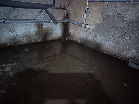 Жители российского города пожаловались на фекальный потоп и комаров в доме