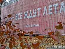 Синоптики обещают свердловчанам неделю тепла