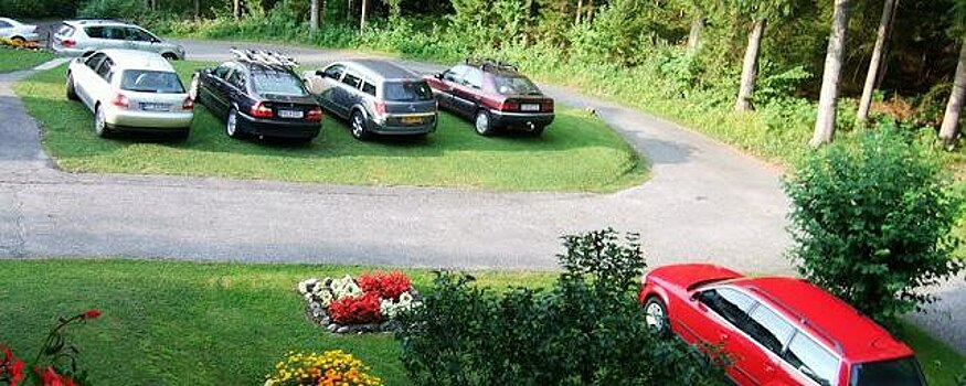 Жителям Тулы выпишут штраф за парковку на газонах