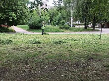 В Ижевске повторно скосят траву на площади более 2 млн квадратных метров