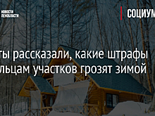 Юристы рассказали, какие штрафы владельцам участков грозят зимой