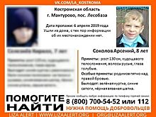 В Костромской области продолжаются поиски пропавшего месяц назад ребенка