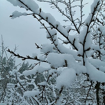 Снег обрушился на Нижегородскую область