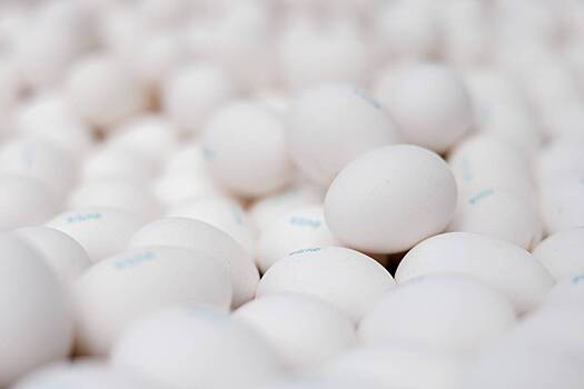 В Росптицсоюзе прокомментировали данные о перепроизводстве яиц