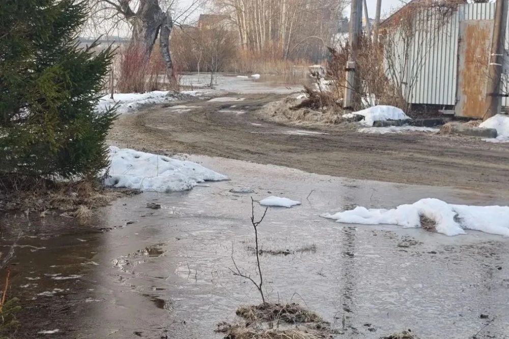 Прокуратура организовала проверку из-за подтопления села под Челябинском