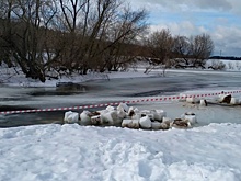 Опубликованы кадры с места обнаружения тела экс-заминистра юстиции Ялунина