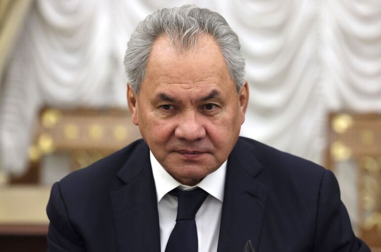 Шойгу отметил нежелание Пашиняна проводить референдум по членству в ЕАЭС