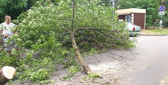 Старинные монеты и икону передали министерству культуры ростовские таможенники