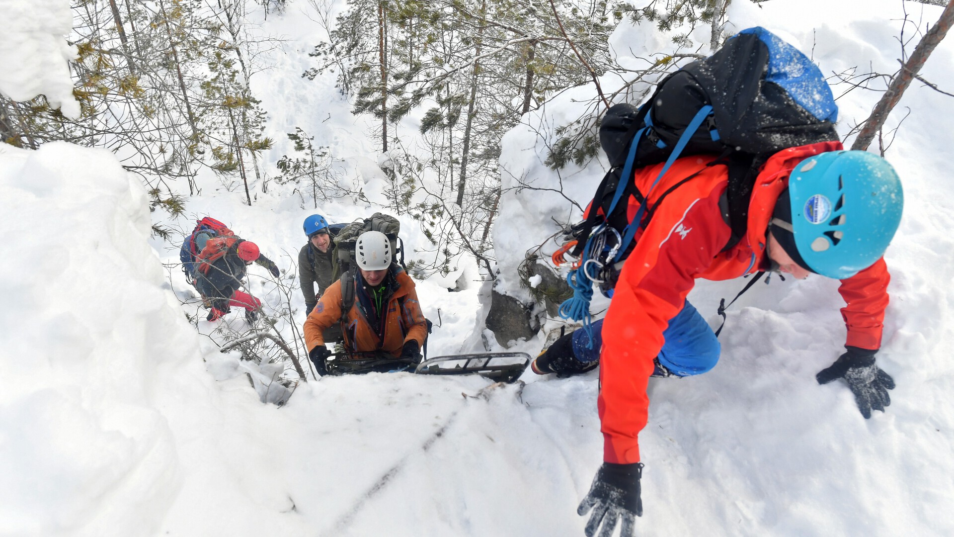 ����������&nbsp; ���������� �������� ��������� �����������