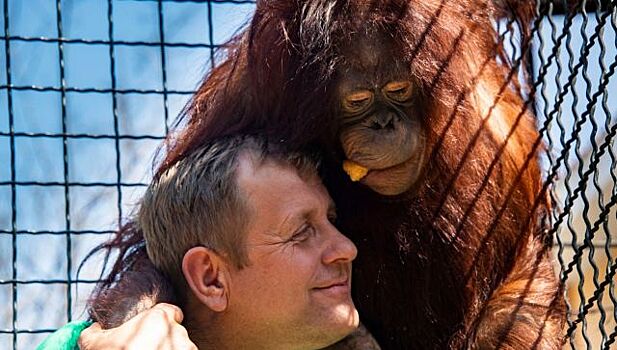 Зубков подарил Крыму землю в Белогорском районе