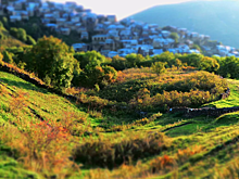 В России нашли неизвестное науке растение