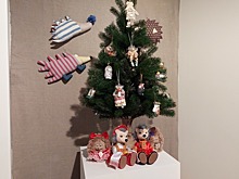 Из сгоревшего музея на выставку привезли «ежиную» ёлку и старинные топоры