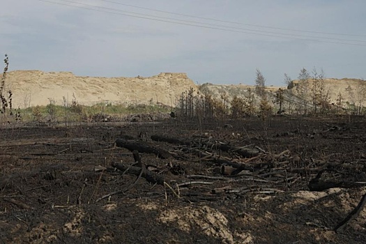 Один лесной пожар удалось локализовать в Тюменской области к 15 июля