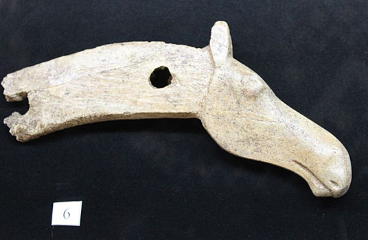 Голова лося возрастом 9 тысяч лет впечатлила новосибирских археологов