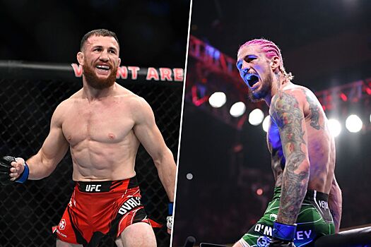 Чего ожидать от UFC 306