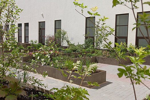 «Сад имени» откроется в нижегородском крематории