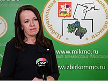 Явка на 15:00 в Подмосковье превысила 13%