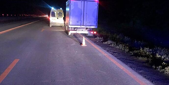 На донской трассе сбили мужчину