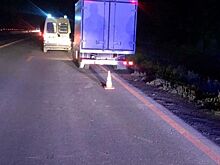 На донской трассе сбили мужчину