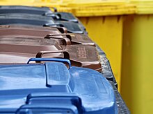 В Москве нашли женщину, выбросившую тело новорожденного в мусорку