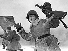 Историк раскрыл истинные планы Финляндии на Ленинград в годы ВОВ