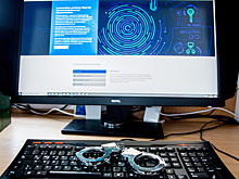 В Калининградской области обнаружен крупный узел связи мошенников