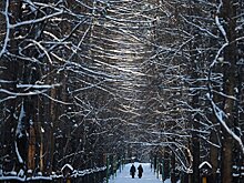 Зимний сезон в подмосковных парках откроется 1 декабря