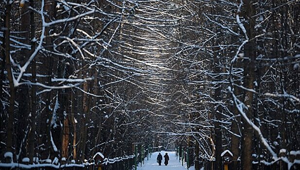 Московские парки не будут отменять праздничные мероприятия из-за морозов