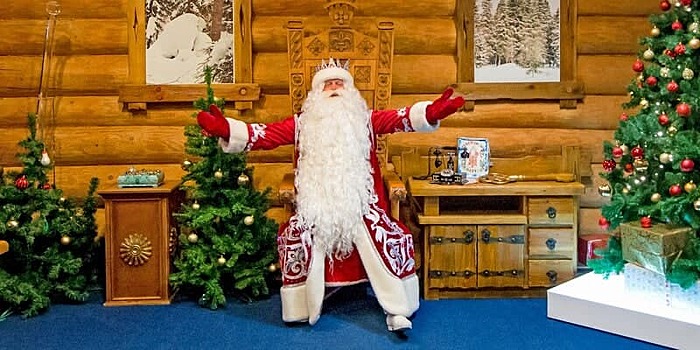 Лианозовский парк организует встречу с Дедом Морозом через Zoom