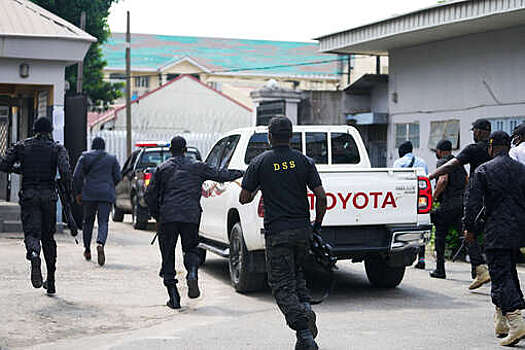 Daily Trust: крупные силы террористов перебрасываются к границе с Нигерией