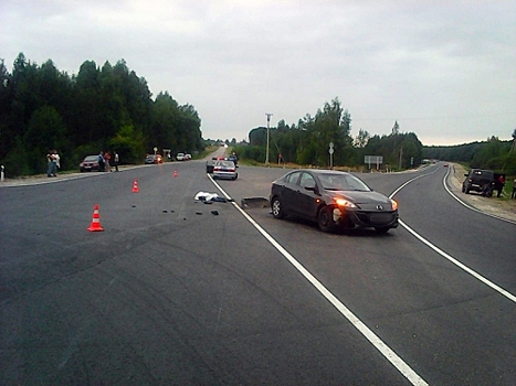 В Рязанской области 41-летний водитель "ВАЗ-2115" погиб, сбив на дороге лося