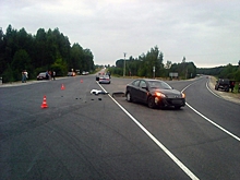 В Рязанской области 41-летний водитель "ВАЗ-2115" погиб, сбив на дороге лося