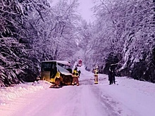В Ленинградской области столкнулись автобус и лесовоз