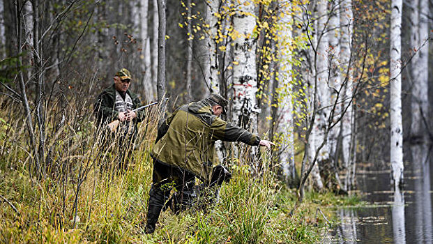 В России планируют изменить законодательство об охотничьих хозяйствах