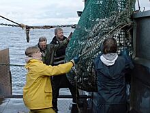 «Снегиря» покажут на Ташкентском международном кинофестивале