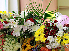 Какие цветы дарить учителям-аллергикам, рассказала эксперт