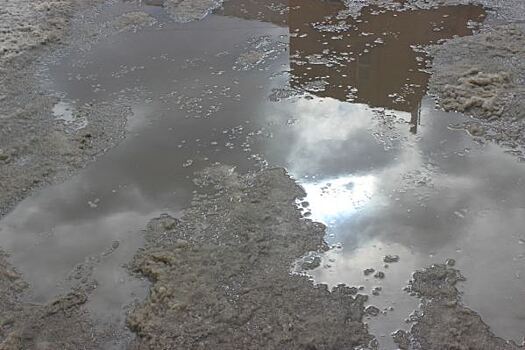 Снежный покров в Кургане сошел значительно раньше обычного